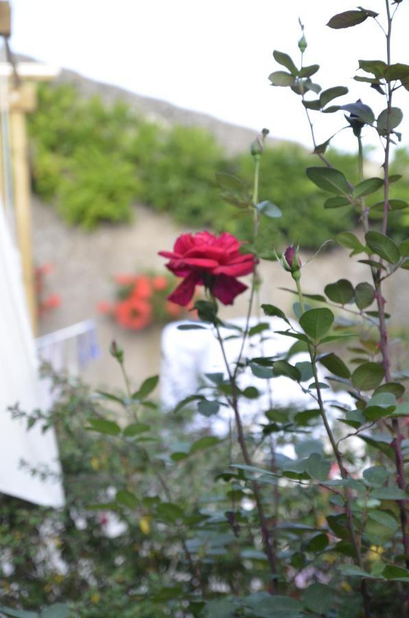 Le Clos Des Pommes Bioncourt Εξωτερικό φωτογραφία